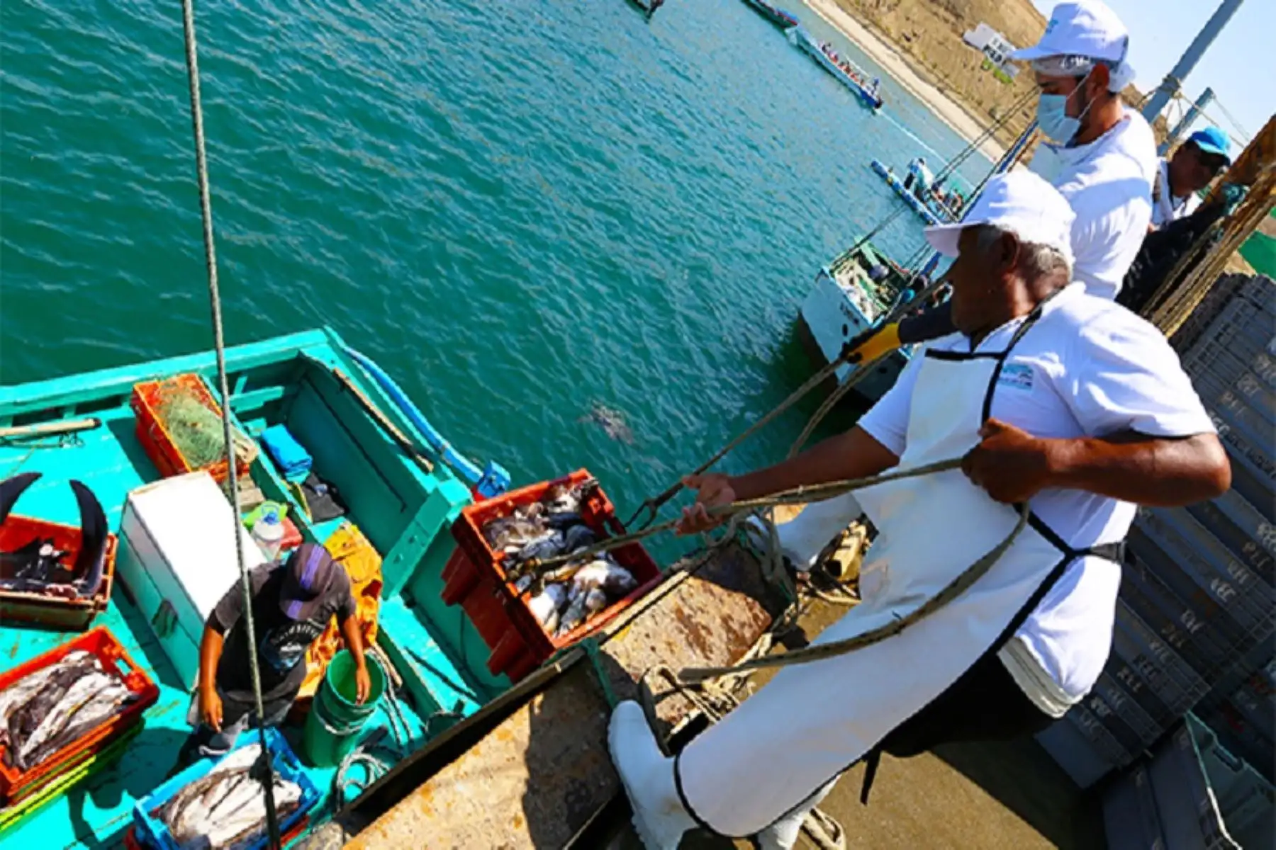 Produce optimiza reglamento de inocuidad para pesca y acuicultura. Cortesía Produce