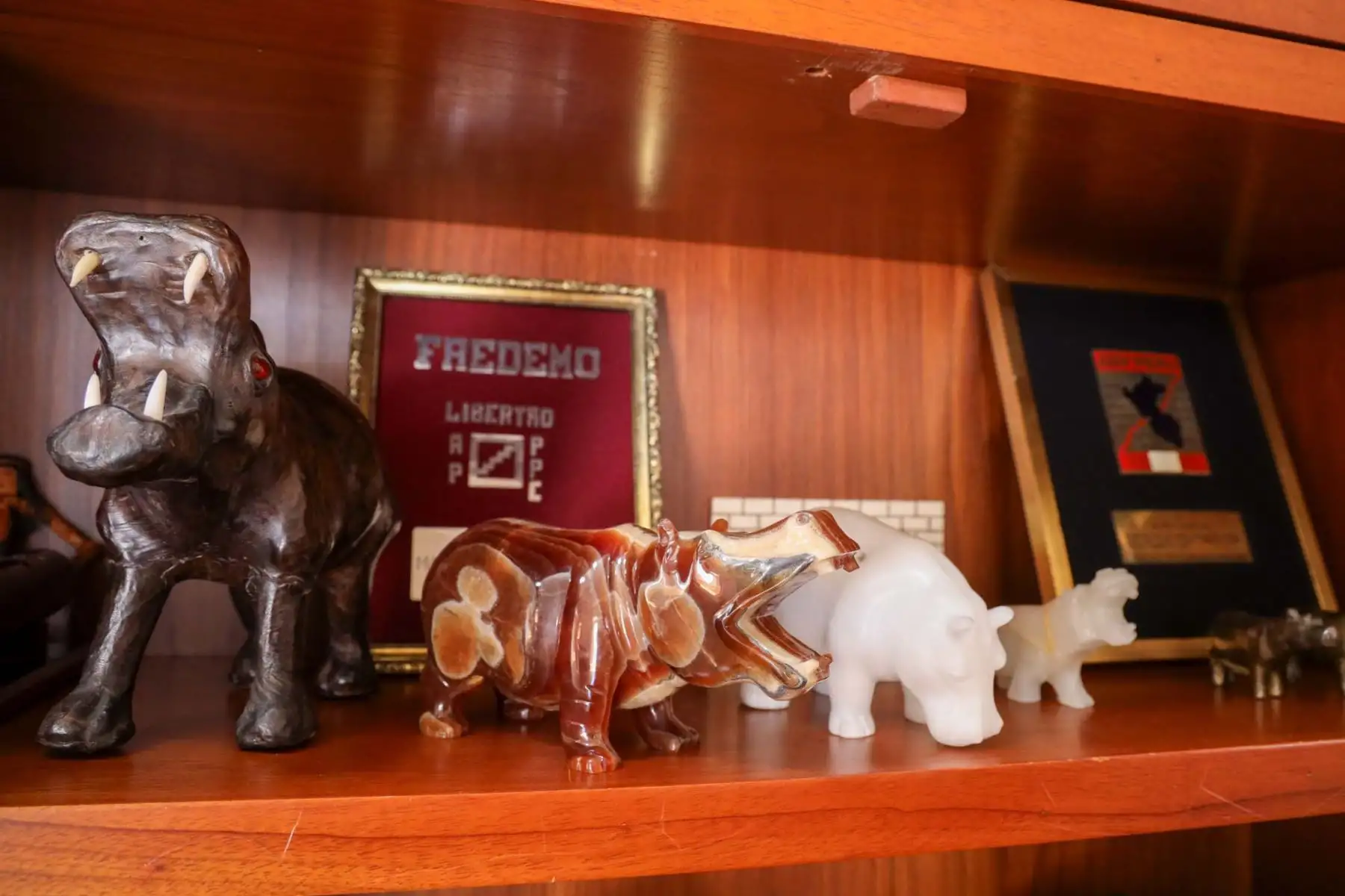 Arequipa rinde homenaje a Mario Vargas Llosa con dos días de duelo regional tras su fallecimiento a los 89 años. Cientos de ciudadanos visitaron espacios emblemáticos como su biblioteca personal y la picantería La Nueva Palomino. En la Plaza de Armas, la bandera fue izada a media asta, mientras la ciudad natal del Nobel peruano lo despide con respeto, orgullo y profunda gratitud. Foto: ANDINA/Cortesía Diego Ramos