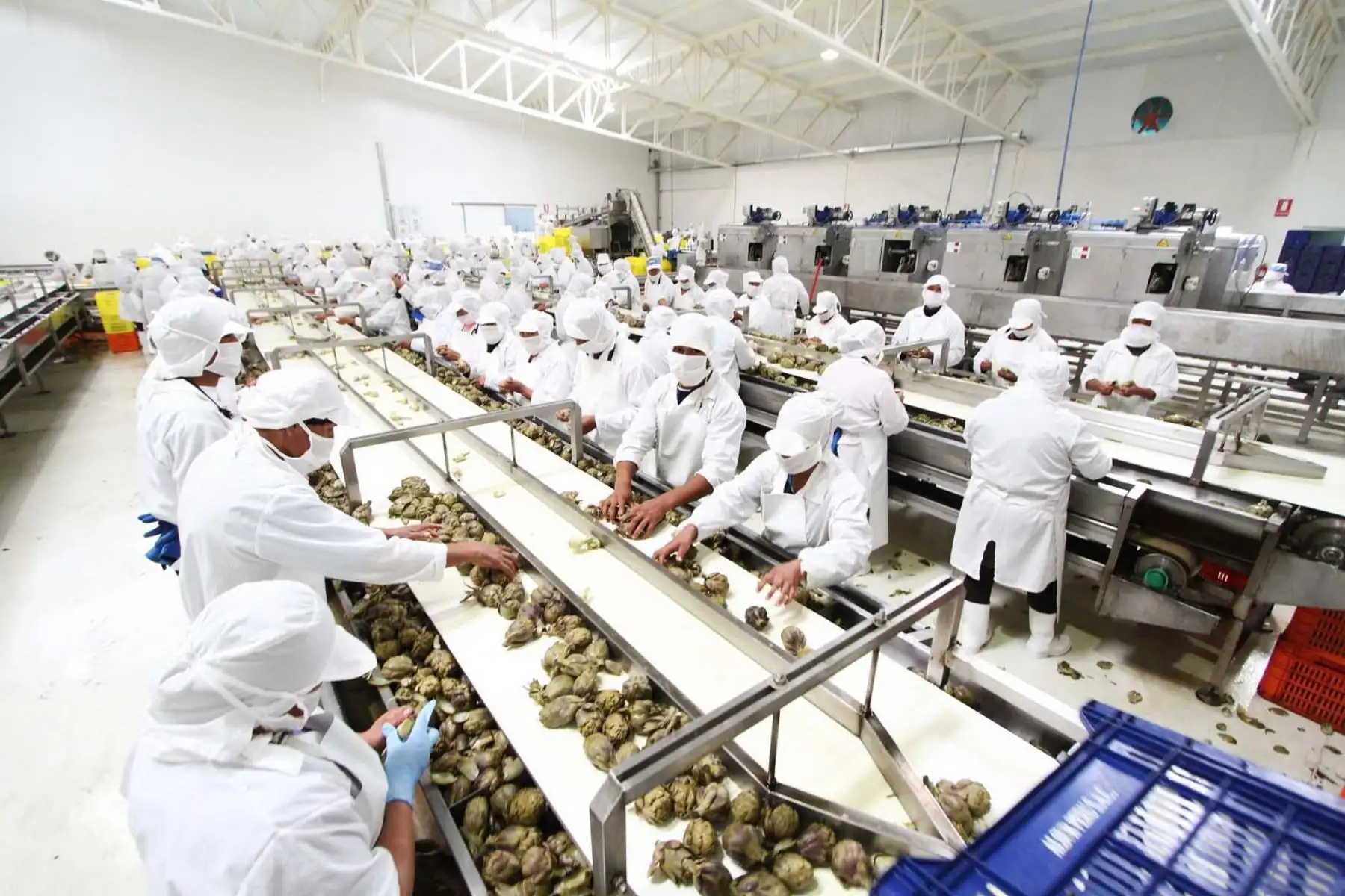 BCR: Peru's formal wage bill up 8.4% in Aug 2025
