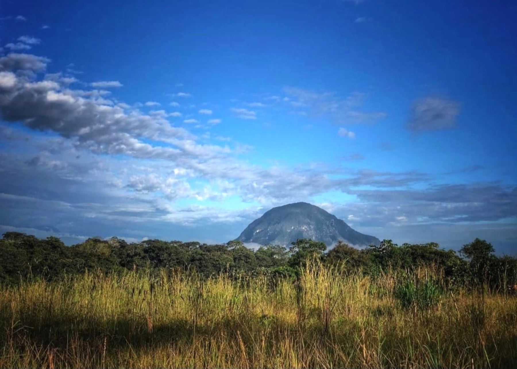 Impresionante vista del Morro de Calzada, un espacio natural que destaca por su rica biodiversidad, por ser un lugar ideal para los amantes del turismo de naturaleza y del avistamiento de aves y fauna silvestre. ANDINA/Difusión