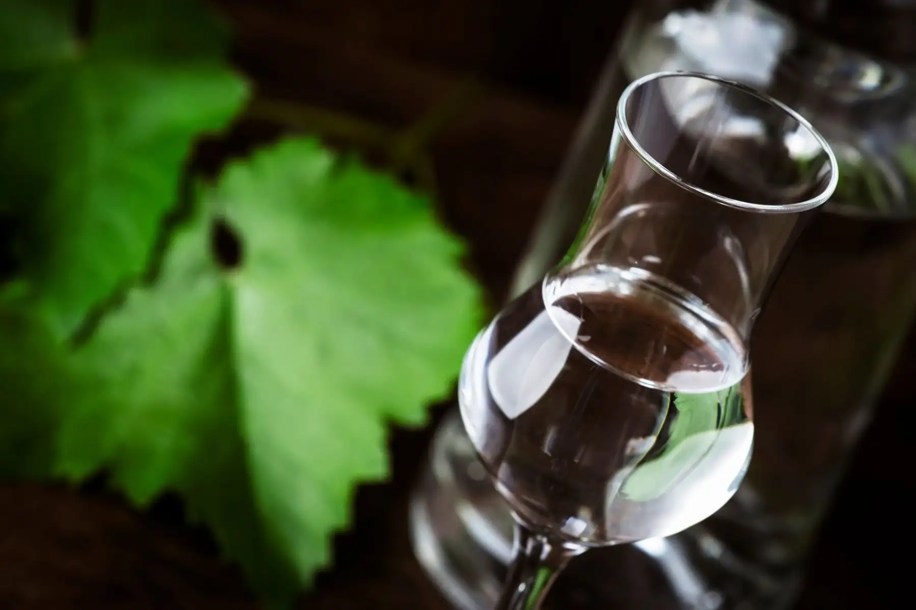 El domingo se celebra el Día Nacional del Pisco: envíos se abren paso a nuevos mercados