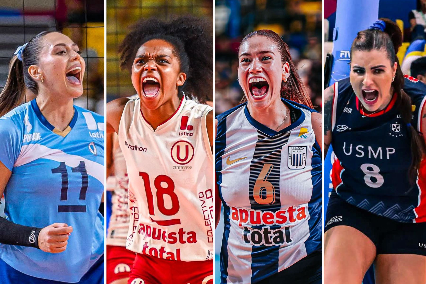 Liga Peruana de Vóley
