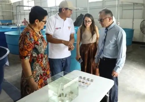 Investigadores del IIAP desarrollaron un sistema electromecánico automatizado, que emplea la inteligencia artificial, que mejora el conteo de poslarvas de peces amazónicos. ANDINA/Difusión