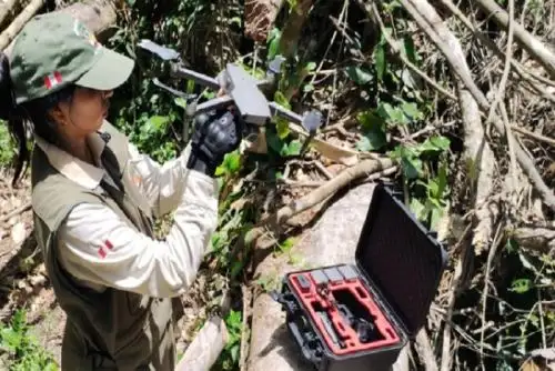 En todo el Sistema Nacional de Áreas Naturales Protegidas por el Estado se cuenta con 86 drones distribuidos en 77 áreas naturales protegidas a escala nacional.