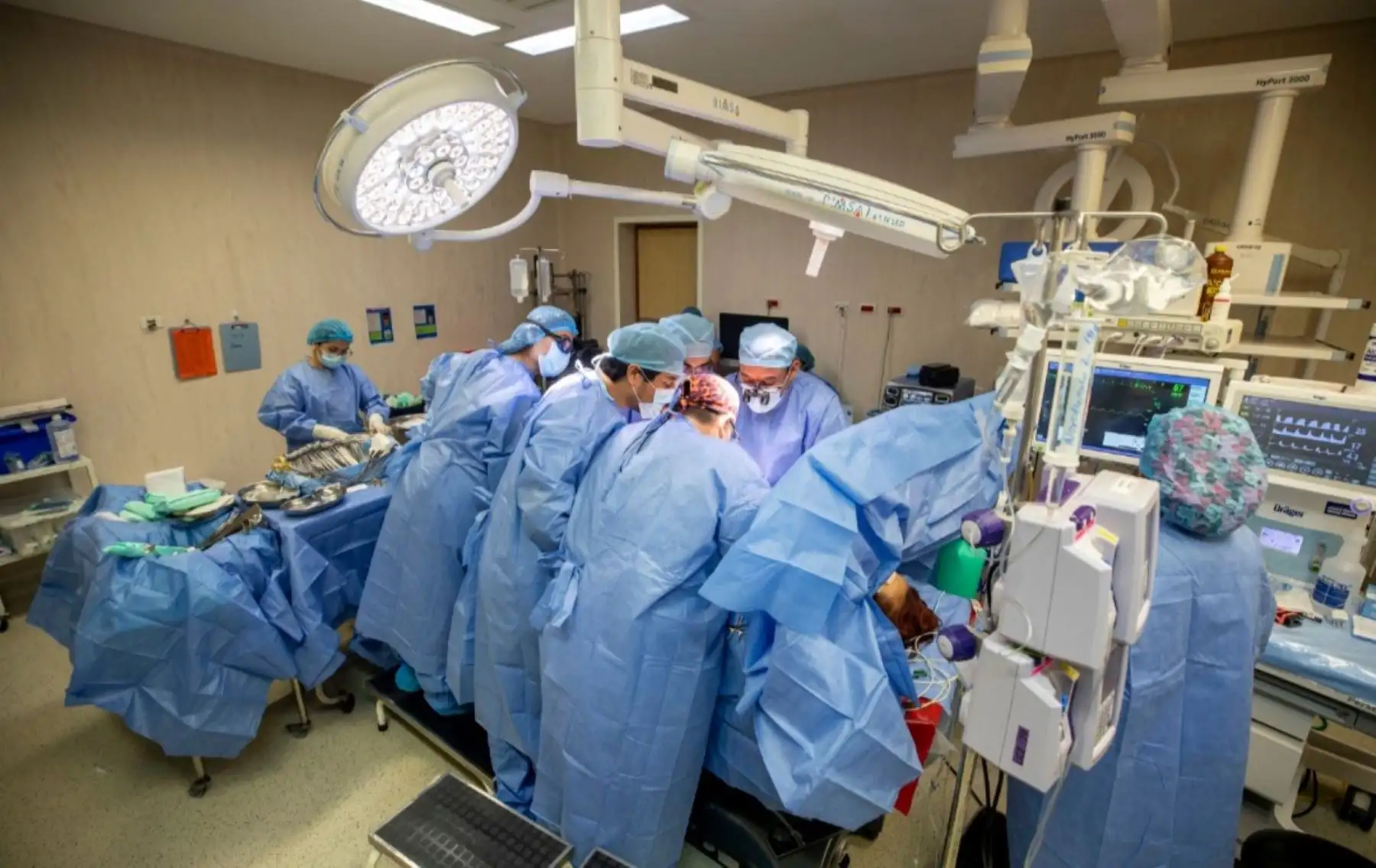 La niña fue traída por sus padres al servicio de emergencia pediátrica del Hospital Nacional Cayetano Heredia, en estado convulsivo (alteración del cerebro). De inmediato fue atendida por el equipo especializado de emergencia y neurocirugía pediátrica. Tras la evaluación, diagnosticaron estado de inconsciencia por muerte cerebral.ANDINA/Difusión