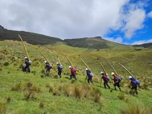 Los palmeros de Bolívar son protagonistas de la celebración de la Semana Santa en la provincia de Bolívar, en la sierra de La Libertad. Ellos realizan un largo peregrinaje que los lleva hasta un paraje natural de la región San Martín. ANDINA/Difusión