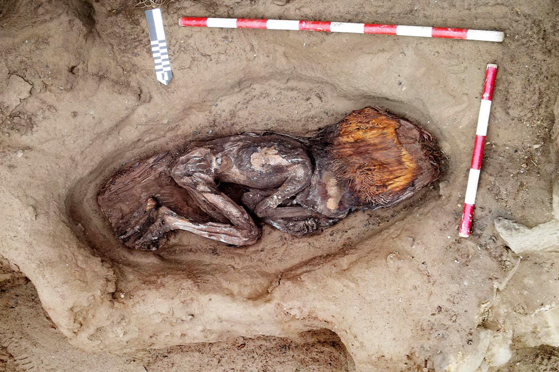 Fotografía cedida por la Zona Arqueológica Caral del yacimiento de la Huaca de los Ídolos, dentro del sitio arqueólogico Áspero, una antigua ciudad pesquera perteneciente a la civilización Caral. Un grupo de arqueólogos peruanos descubrió entre los restos de la civilización Caral, la más antigua de América, el enterramiento de una mujer de alto estatus, datado entre el 3.000 y el 1.800 a.C., que conserva en buen estado su cuerpo rodeado de numerosas ofrendas, algunas de ellas llegadas de la Amaz