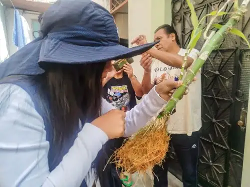 Dengue: intervienen más de 87,000 viviendas en el Callao. Foto: ANDINA/Difusión.