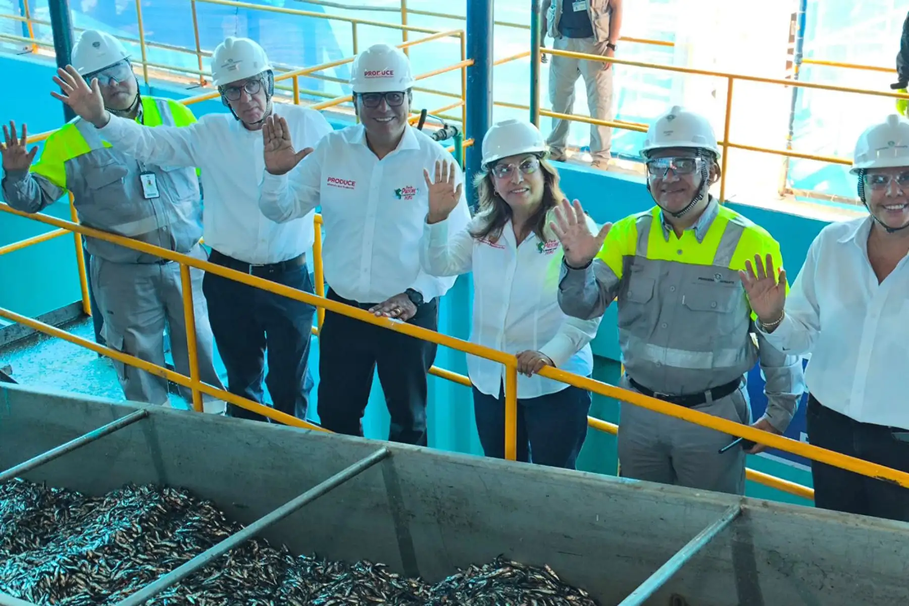 Foto: ANDINA/Prensa Presidencia.