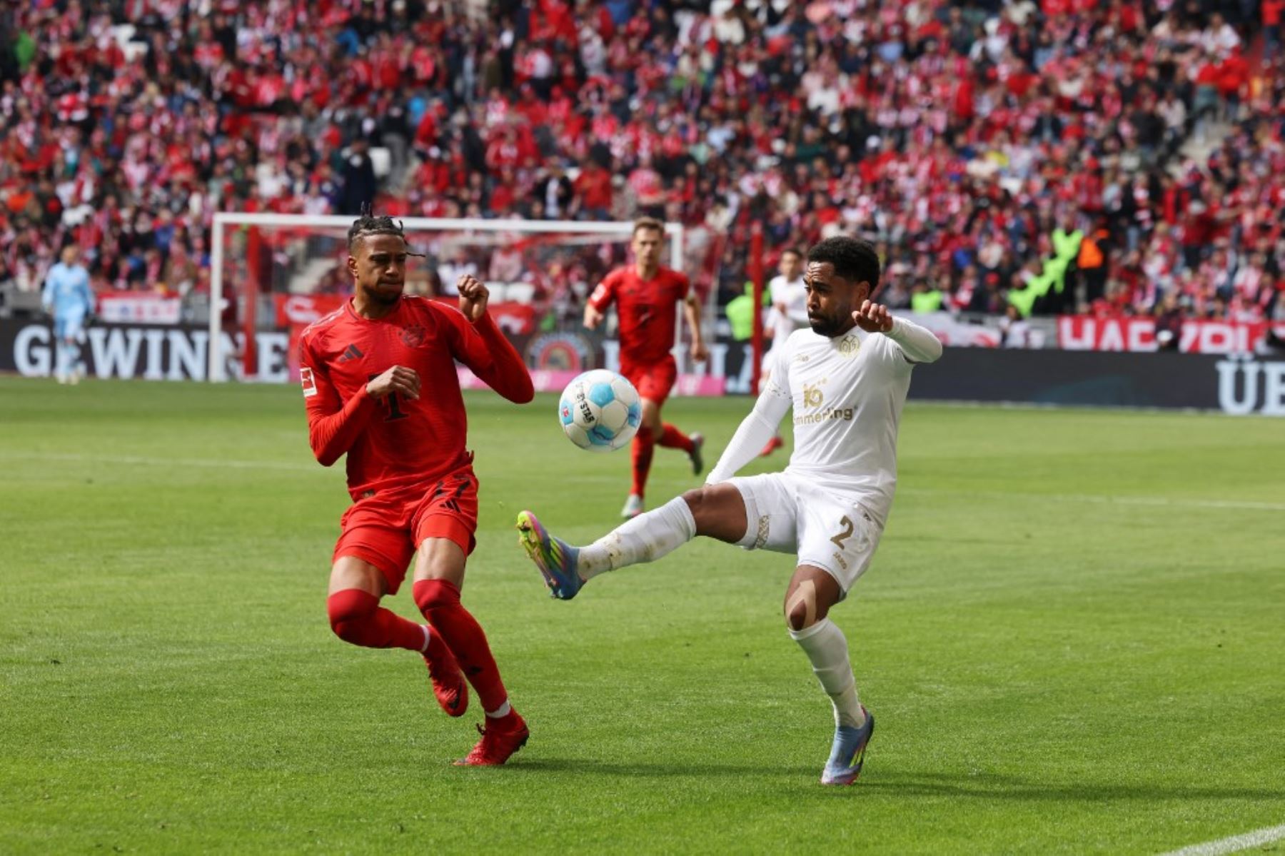 El defensa austríaco del Mainz, Philipp Mwene, y el mediocampista francés del Bayern Munich, Michael Olise, compiten por el balón durante el partido de fútbol de la primera división alemana, la Bundesliga, entre el FC Bayern Munich y el FSV Mainz 05 en Munich, sur de Alemania, el 26 de abril de 2025. Foto: AFP