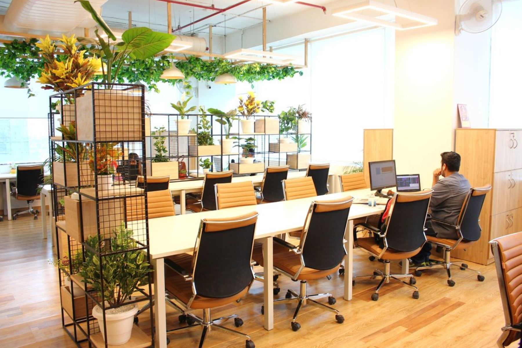 Coworking. Foto: internet/medios.
