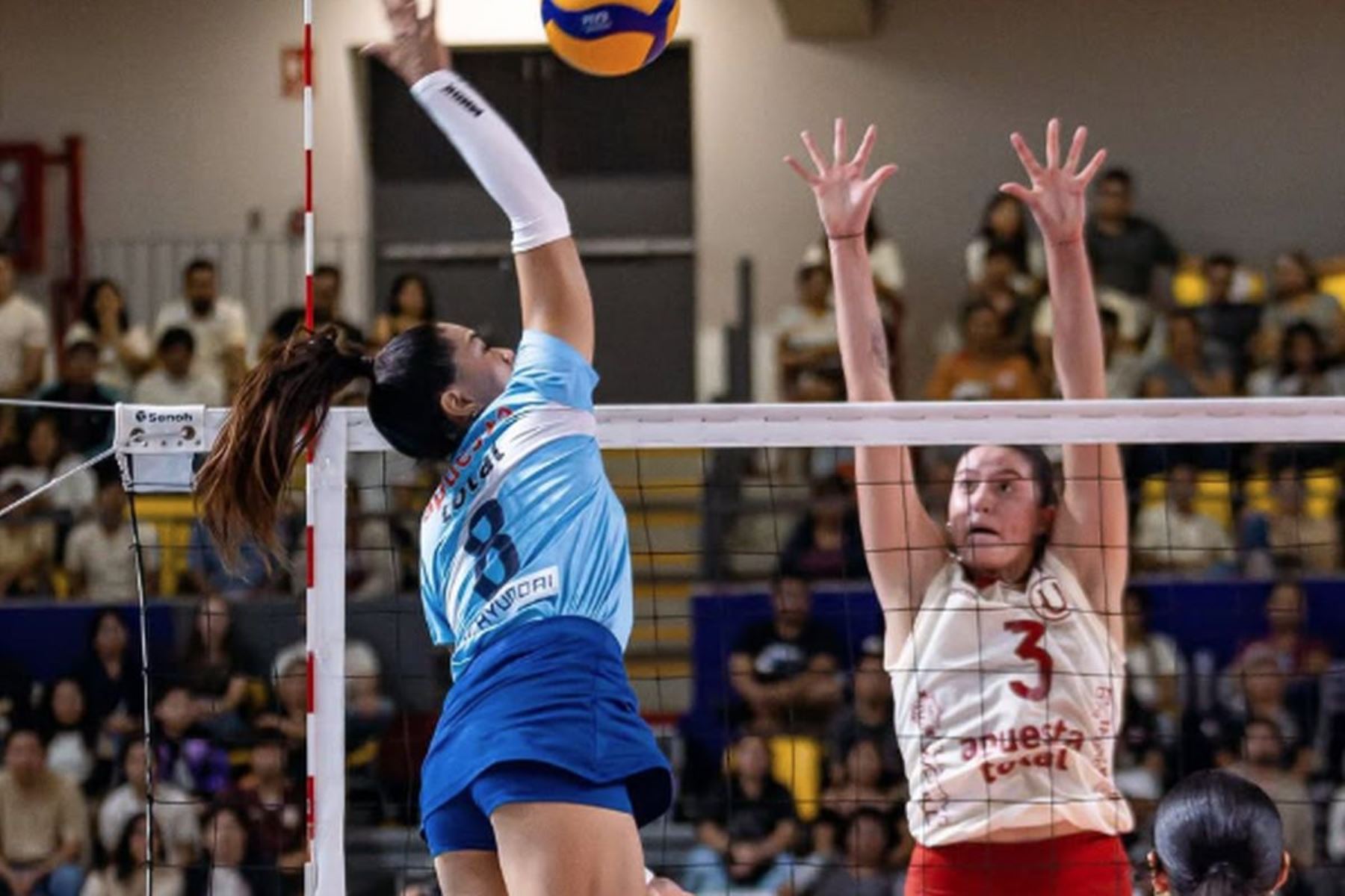 Regatas supera a Universitario en semifinal de ida de la Liga Peruana de Vóley 2025. Foto: Regatas Lima