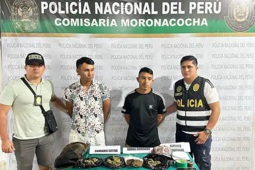 Policía Nacional desarticula 38 bandas criminales en 24 horas. Foto: ANDINA/Difusión.