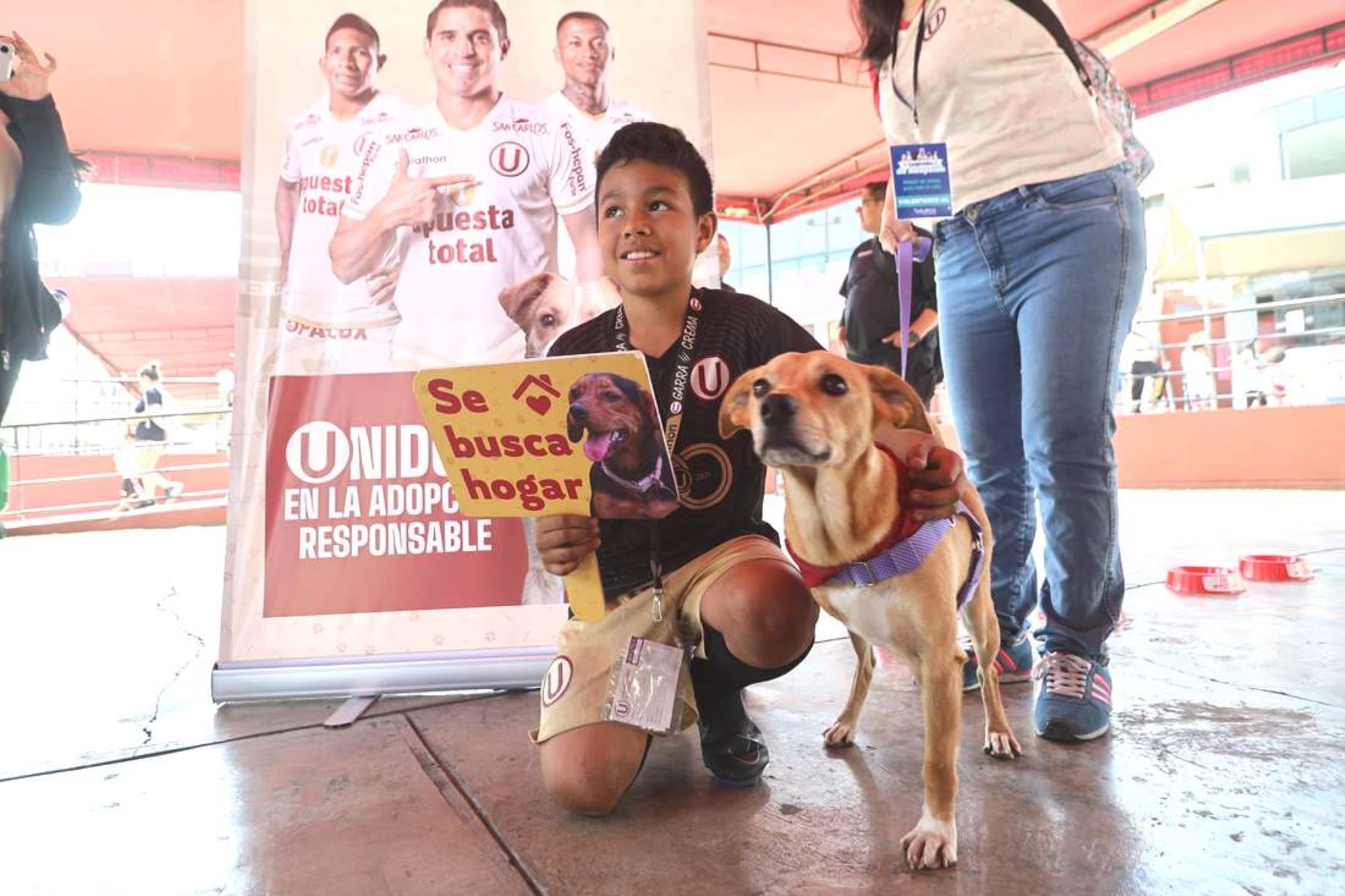 Hinchas de Universitario adoptan cinco peluditos en campaña “Patitas Felices”. Foto: ANDINA/Difusión.