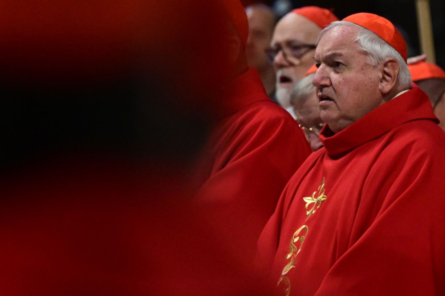 Cardenales asisten a una misa en la basílica de San Pedro en el Vaticano. Foto: AFP