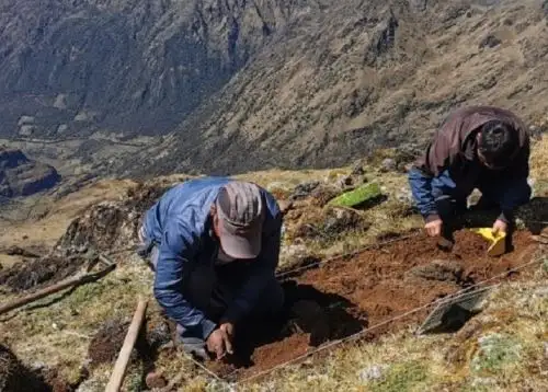 El hallazgo arqueológico se produjo en la zona de Vilcabamba, región Cusco. Foto: Sociedad Geográfica Española.