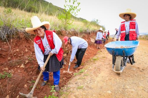Proyectos productivos impulsados por el Midis generan empleo y mejoran la calidad de vida de miles de familias. Foto: MIDIS/Difusión.