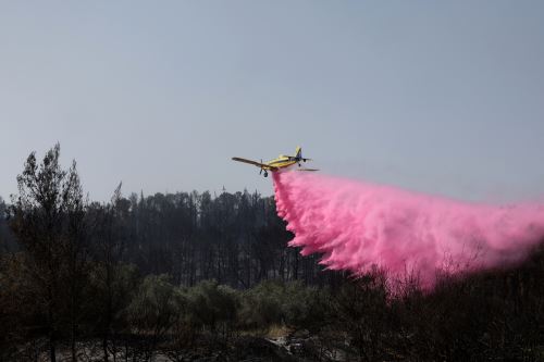 AFP