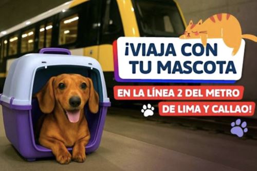 Podrás llevar contigo perros, gatos, aves no silvestres, hámsteres y peces ornamentales, promoviendo un transporte más inclusivo, moderno y acorde con las necesidades de las familias peruanas.ANDINA/Difusión