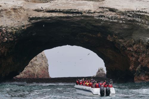 Conoce el distrito de Paracas por el feriado largo por el Día del Trabajo