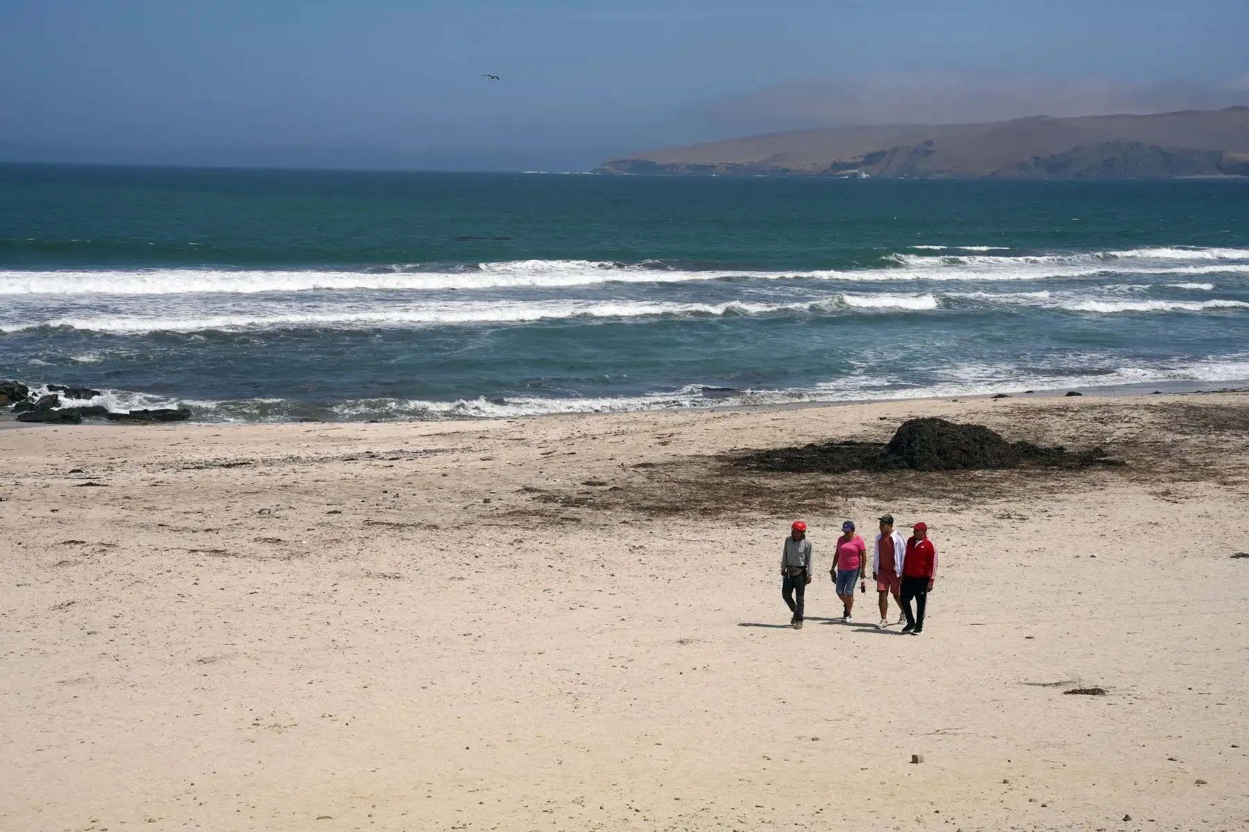 También puedes explorar playas como La Mina, Yumaque, Supay, El Raspón, entre otros. También conocer el geoglifo del Candelabro. Foto:ANDINA/Genry Bautista