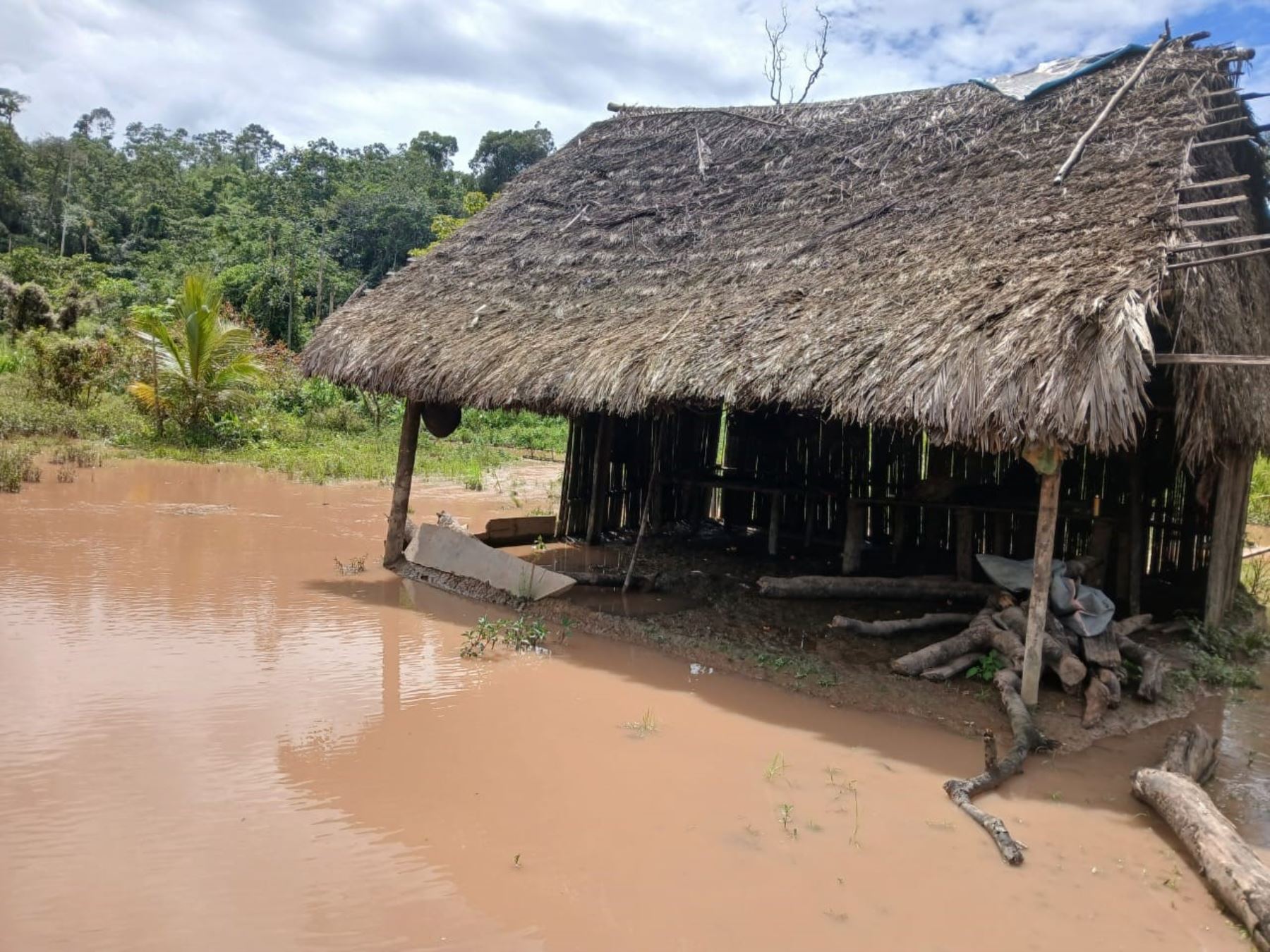 Al menos diez viviendas de la comunidad nativa Chingari, ubicada en el distrito de Puerto Bermúdez, región Pasco, resultaron afectadas por vientos fuertes y lluvias.