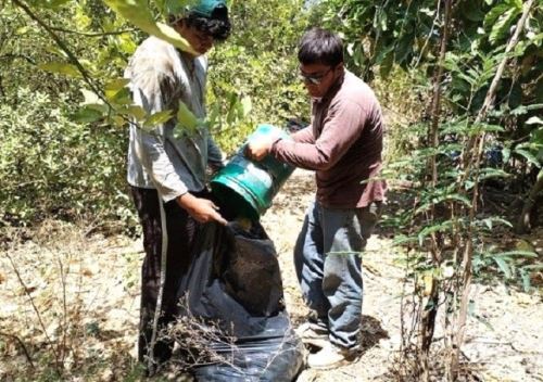 Productores agrarios de Moquegua asumen mayor protagonismo en la lucha contra la plaga de la mosca de la fruta en esa región.