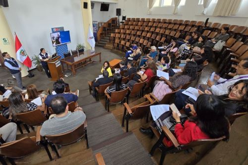 Con el objetivo de fortalecer la prevención del suicidio en las instituciones de educación superior, la Dirección de Salud Mental del Minsa ha convocado la primera sesión de esta Mesa de Trabajo.  Foto: ANDINA/Difusión