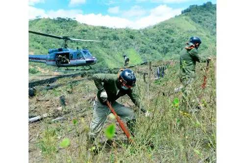 Foto: ANDINA/difusión.
