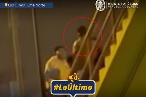 Primera Fiscalía Provincial Penal Corporativa de Los Olivos (Primer Despacho) inició investigación preliminar contra los que resulten responsables del delito de robo agravado de un celular en agravio de un universitario. Foto: Difusión