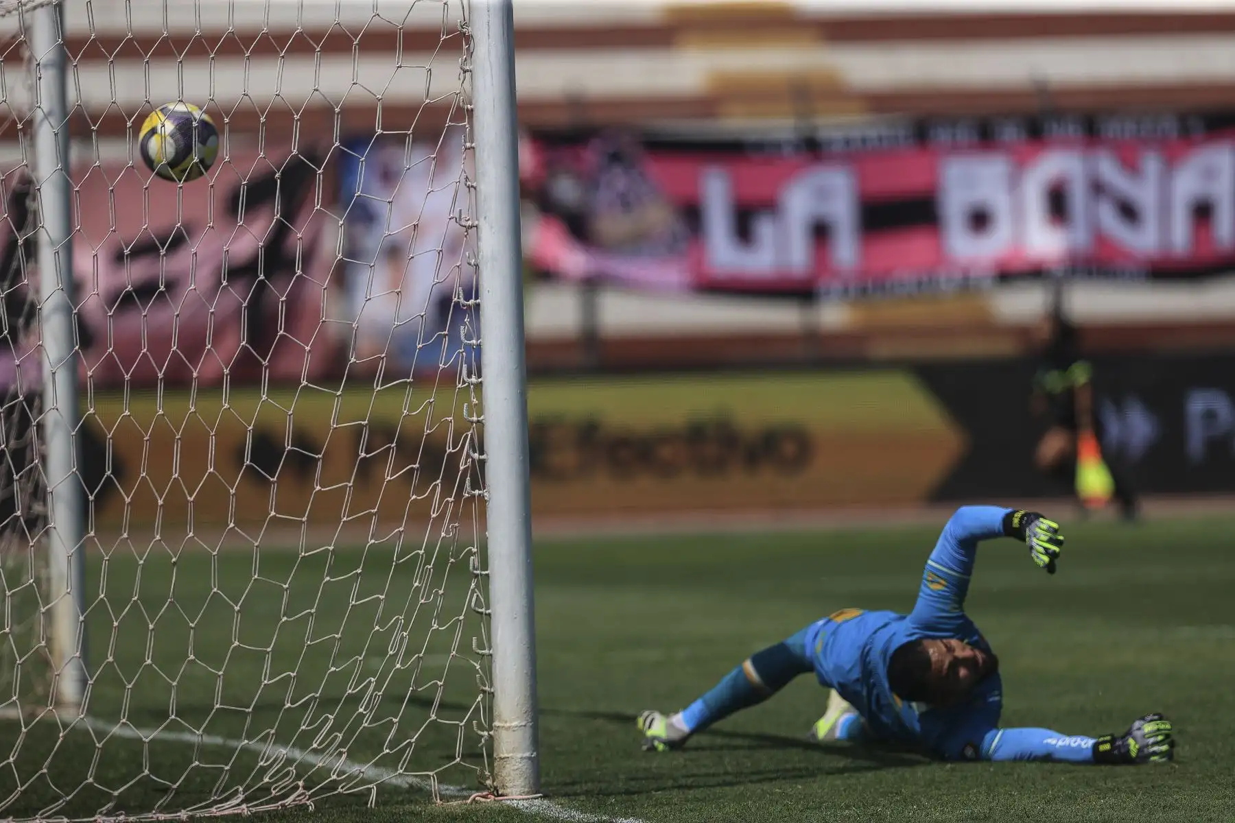 Sport Boys enfrenta a Alianza Universidad de Huánuco por el Torneo Apertura. El partido se realiza en el estadio Miguel Grau del Callao. En la imagen, el jugador de Sport Boys,Alejandro Hohberg celebra su gol.
Foto: ANDINA/Jhonel Rodríguez Robles