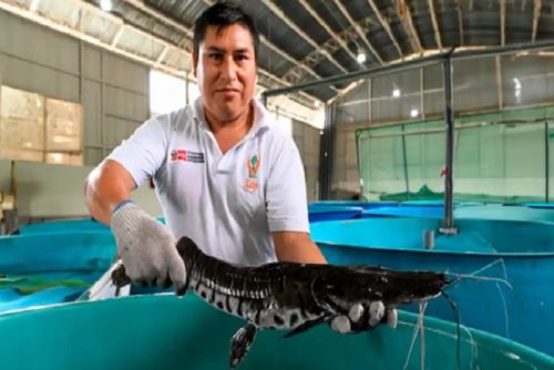 Minam alcanza récord histórico en ejecución presupuestal en 4 primeros meses del 2025