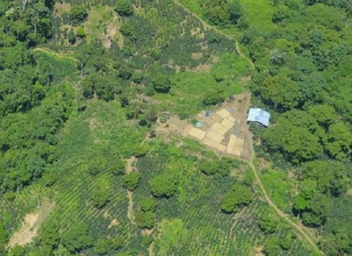 La plataforma GeoBosques realiza el monitoreo de bosques de la Amazonía peruana se sustenta en información satelital de diversas fuentes, informó el Minam. ANDINA/Difusión