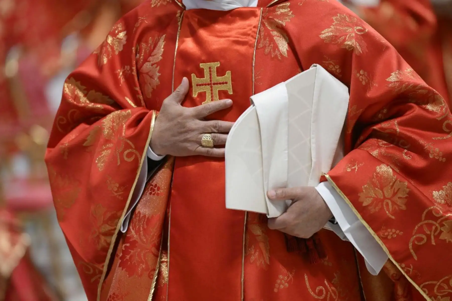 Cardenales durante una misa previa al inicio del cónclave para la elección del Pontífice, en la Basílica de San Pedro del Vaticano. Foto: AFP