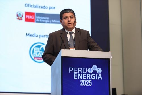 Javier Lucana, director de Normativa de Electricidad del Ministerio de Energía y Minas. Cortesía