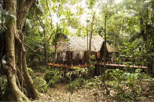 Sustainable tourism in the Peruvian Amazon. Photo: Courtesy.