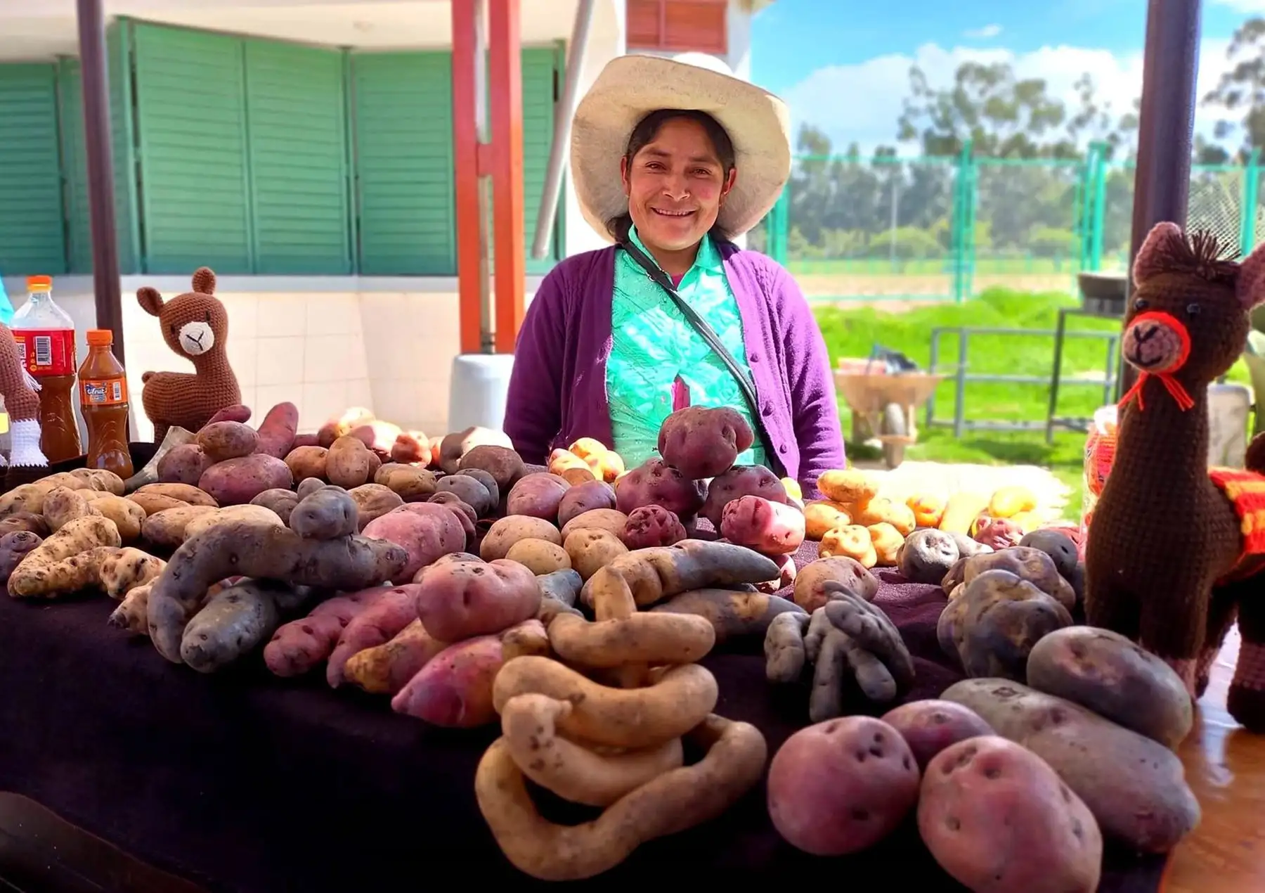 Productores agrícolas cajamarquinos serán los principales beneficiarios de la feria Consume lo que Cajamarca produce que se realizará el sábado 31 de mayo y el domingo 1 de junio. ANDINA/Difusión