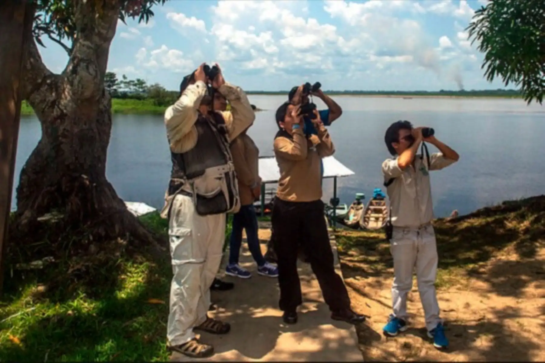 Birdwatching is a growing tourist activity in Peru. Photo: Courtesy.