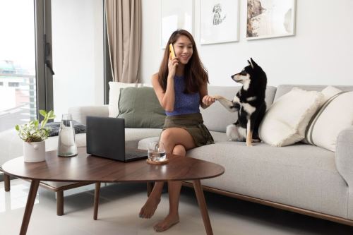 El 34% de los compradores inmobiliarios tiene mascota, tendencia que marcará el diseño de nuevos proyectos pet friendly. Foto: ANDINA/Difusión