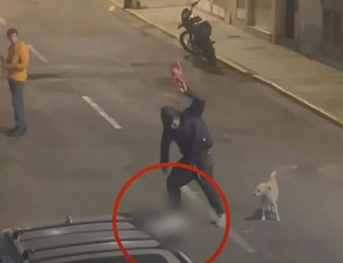 Luis Esteban Daza Lozano de 36 años de edad, fue denunciado por la Municipalidad de Trujillo por el asesinado de una perrita a quien estrelló contra el piso en varias oportunidades hasta provocare la muerte. ANDINA/Difusión