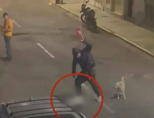 Luis Esteban Daza Lozano de 36 años de edad, fue denunciado por la Municipalidad de Trujillo por el asesinado de una perrita a quien estrelló contra el piso en varias oportunidades hasta provocare la muerte. ANDINA/Difusión