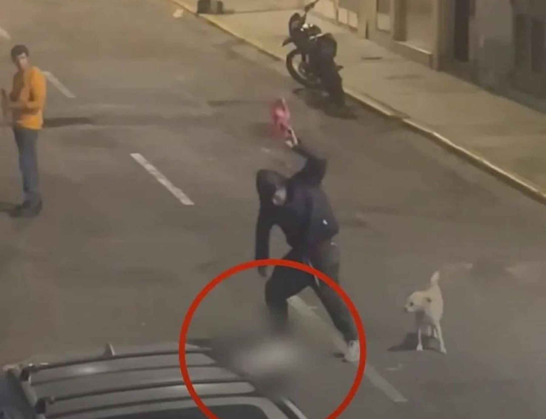 Luis Esteban Daza Lozano de 36 años de edad, fue denunciado por la Municipalidad de Trujillo por el asesinado de una perrita a quien estrelló contra el piso en varias oportunidades hasta provocare la muerte. ANDINA/Difusión