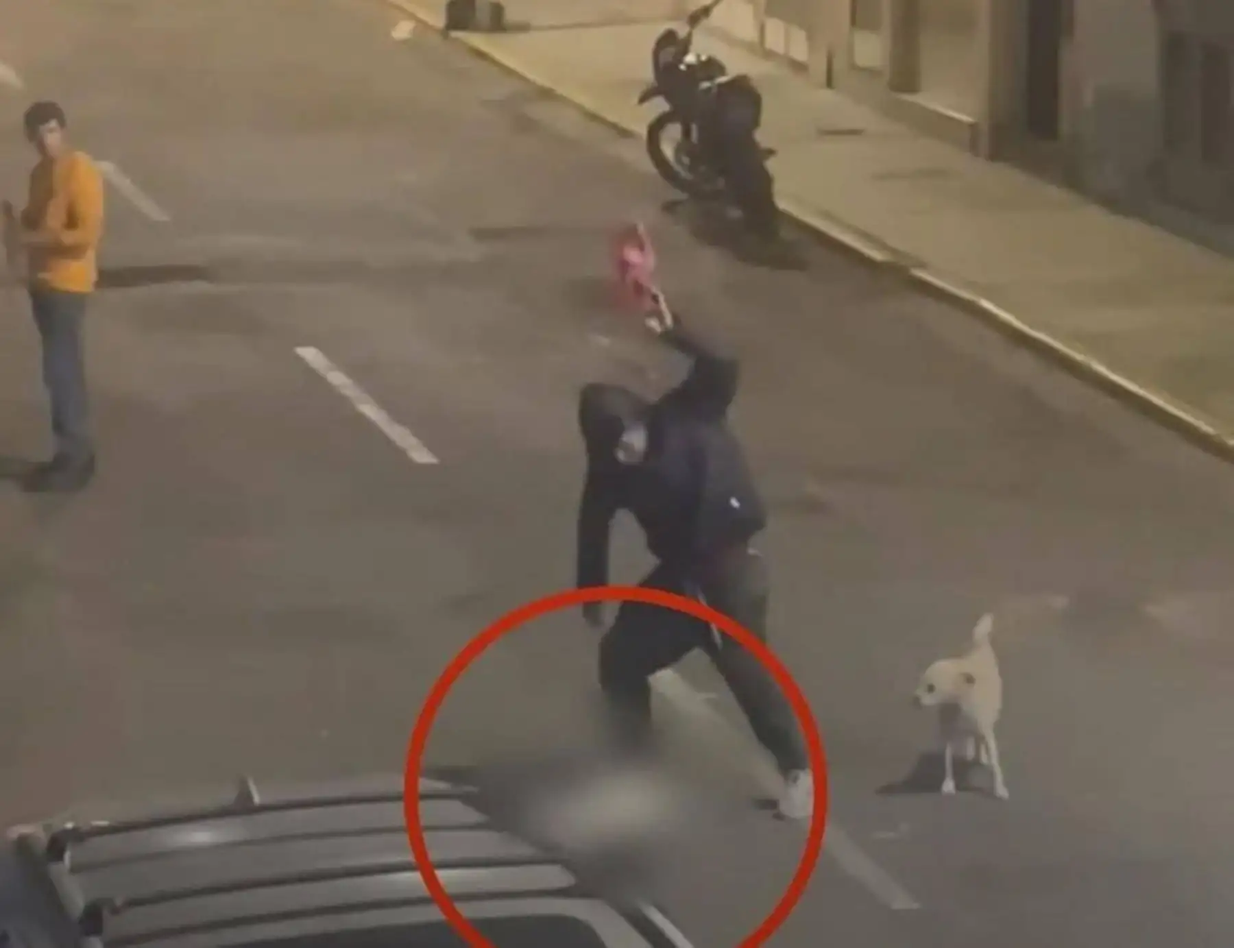 Luis Esteban Daza Lozano de 36 años de edad, fue denunciado por la Municipalidad de Trujillo por el asesinado de una perrita a quien estrelló contra el piso en varias oportunidades hasta provocare la muerte. ANDINA/Difusión