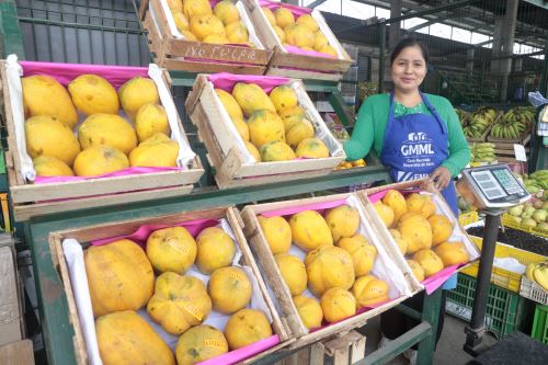 La obra ha sido financiada íntegramente con recursos de la Municipalidad Metropolitana de Lima. Se estima que beneficiará directamente a más de ocho millones de limeños, contribuyendo al abastecimiento diario de frutas frescas y mejorando las condiciones del comercio mayorista en la capital.ANDINA/Vidal Tarqui