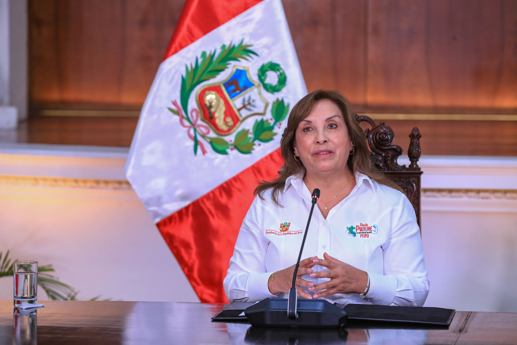 ANDINA/Prensa Presidencia