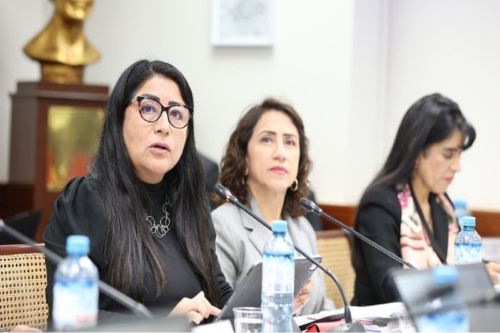 Viceministra de Economía, Denisse Miralles.