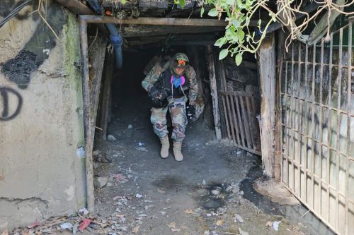 Fuerzas Armadas y Policía Nacional ejecutan el operativo "lobo" contra la minería ilegal en Pataz