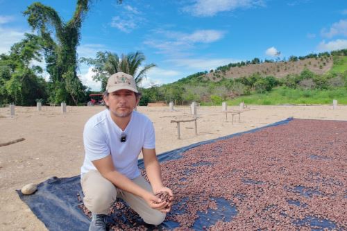 El cacao orgánico es uno de los principales con creciente demanda en los mercados internacionales en este tipo de productos. ANDINA/Difusión