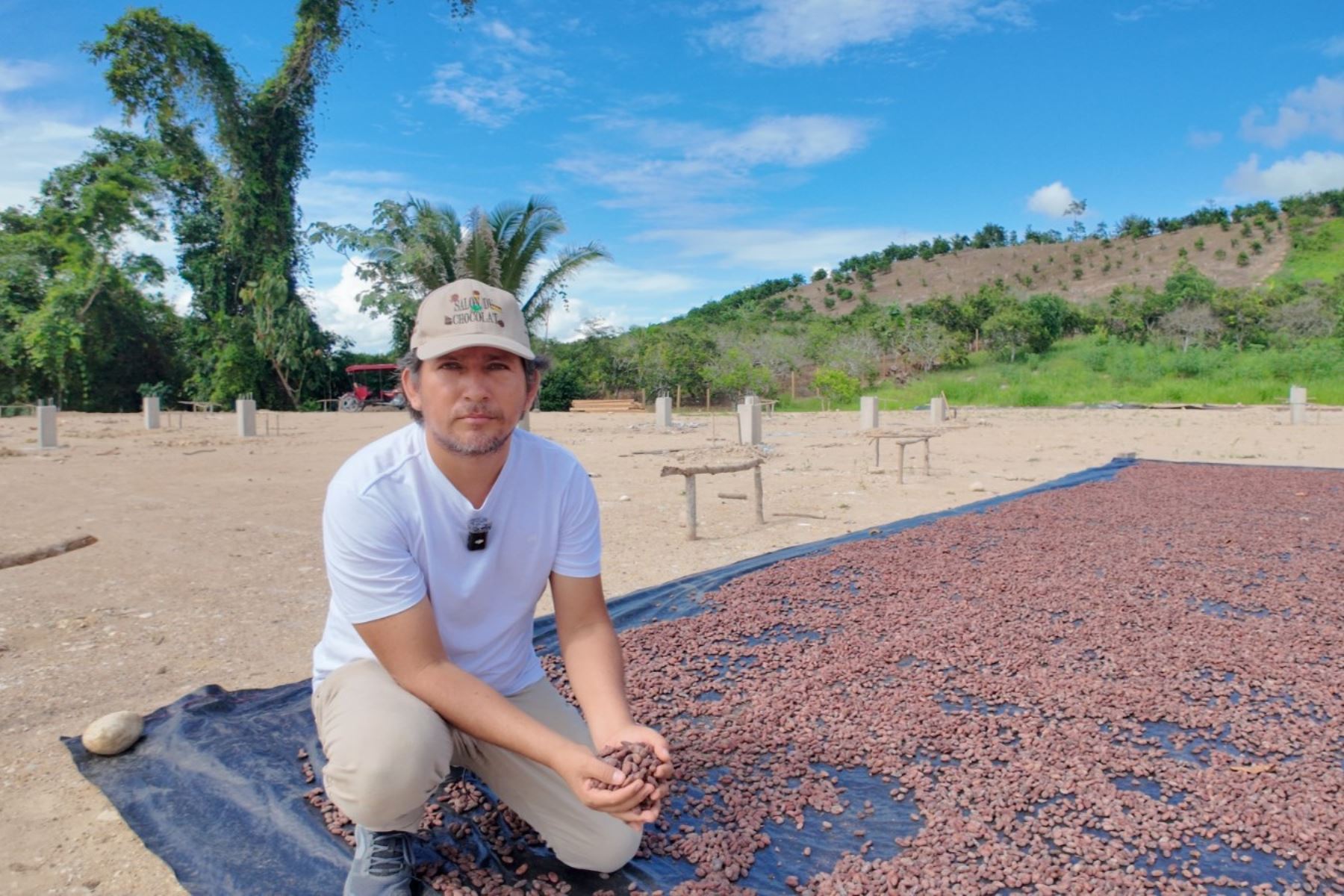 El cacao orgánico es uno de los principales con creciente demanda en los mercados internacionales en este tipo de productos. ANDINA/Difusión