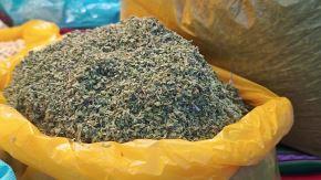 El orégano es una de las especies más requeridas en la gastronomía. ANDINA/Difusión